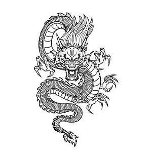 signos del zodiaco chino dragon
