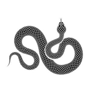signos del zodiaco chino serpiente
